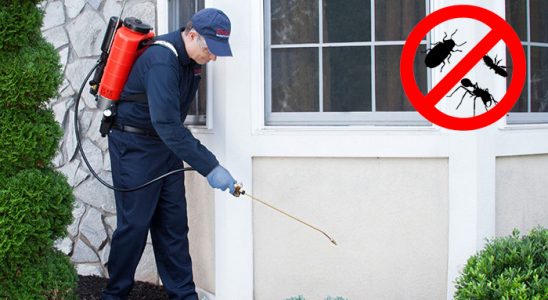 Ardanuç Dezenfeksiyon böcek ilaçlama ve haşere kontrolü — ilaclama-tr.com